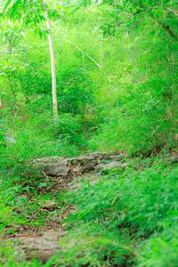 BIB: 
                            <button type="button" onclick="openModal(22090521)" class="btn btn-primary btn-sm float-right btn-popup" data-toggle="modal" data-target=".modal-high-quality">
                        <i class="fas fa-shopping-cart"></i> Add to Cart
                    </button>
                                            <button type="button" onclick="isThisMe(22090521, true)" class="btn btn-success btn-sm float-right btn-popup btn-isme hidden" data-toggle="tooltip" data-placement="bottom" title="นี่คือรูปของคุณใช่ไหม คลิกที่นี่เพื่อเอาเข้าอัลบั้ม">
                        <i class="fas fa-plus"></i> Add to album
                    </button>
                    <button type="button" onclick="isThisMe(22090521, false)" class="btn btn-warning btn-sm float-right btn-popup btn-isnotme hidden">
                        <i class="fas fa-ban"></i> Remove from album
                    </button>